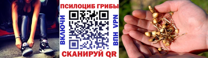 Псилоцибиновые грибы GOLDEN TEACHER  Купить  Мирный 